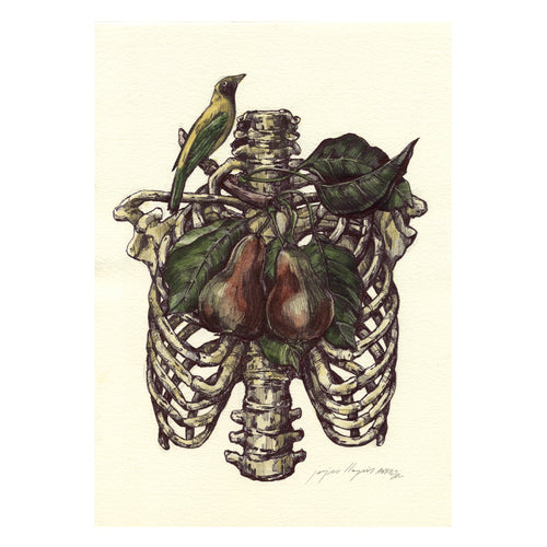 Obra Original FRUIT ANATOMY II